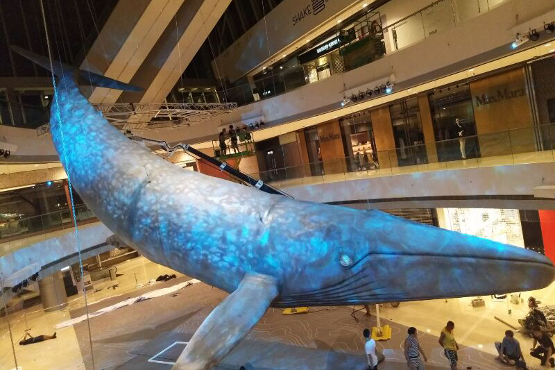 2019年香港商场蓝鲸制作